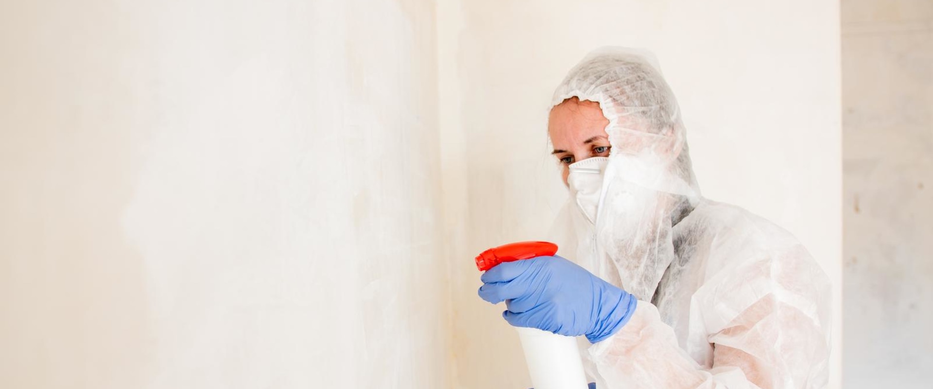 Mold Remediation: A Crucial Step In Philadelphia Home Renovations