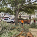 Tree Trimming For A Safer And More Beautiful Home Renovation In Austin, TX