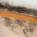 Post-Holiday Home Renovation In Dallas Requires Mold Removal Services