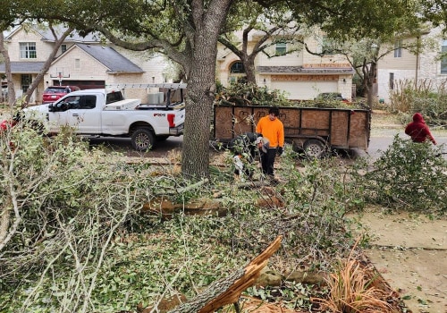 Tree Trimming For A Safer And More Beautiful Home Renovation In Austin, TX