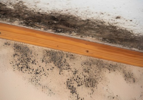 Post-Holiday Home Renovation In Dallas Requires Mold Removal Services