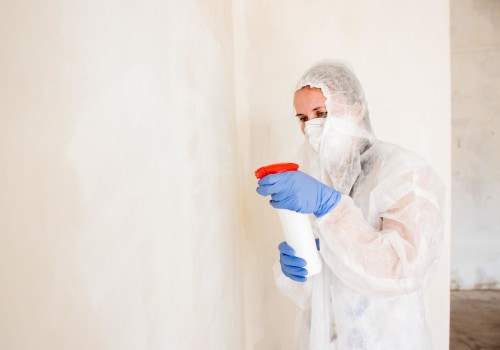 Mold Remediation: A Crucial Step In Philadelphia Home Renovations