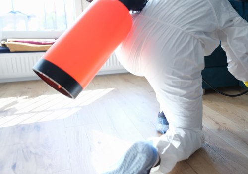Why You Should Prioritize Hiring An Exterminator Service Provider During Your Home Renovation In Calgary, Alberta?
